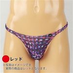 Y@ouQm[V[sobN@ibhj@lTCY(WF[)